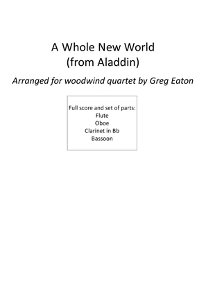 Book cover for A Whole New World