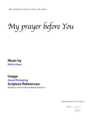 My prayer before You