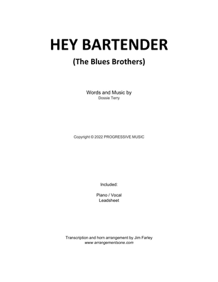 Book cover for Hey Bartender