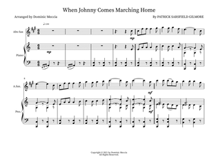 Book cover for When Johnny Comes Marching Home