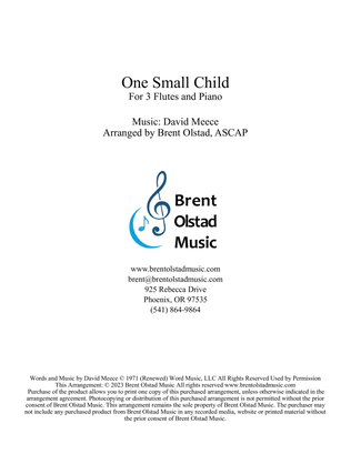 Book cover for One Small Child