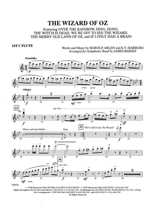 Book cover for The Wizard of Oz (Medley): Flute