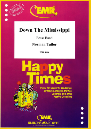Book cover for Down The Mississippi