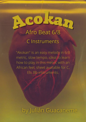 Book cover for Akokan