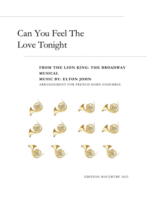 Book cover for Can You Feel The Love Tonight