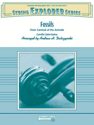 Book cover for Fossils