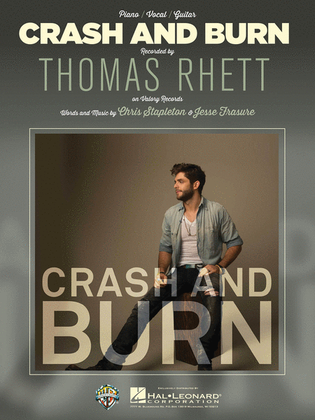 Book cover for Crash and Burn