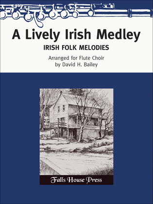 Book cover for A Lively Irish Medley