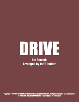 Book cover for Drive