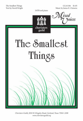 Book cover for The Smallest Things