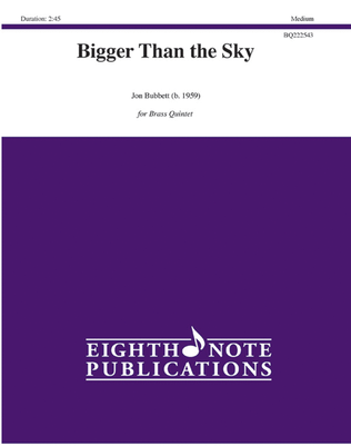 Book cover for Bigger Than the Sky