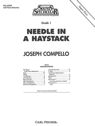 Book cover for Needle in A Haystack