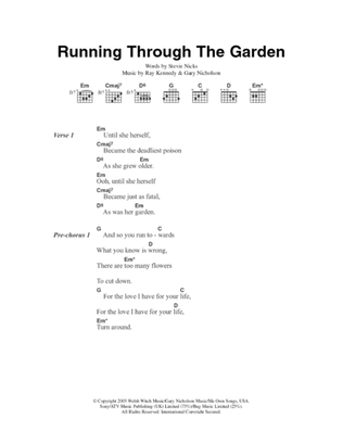 Book cover for Running Through The Garden