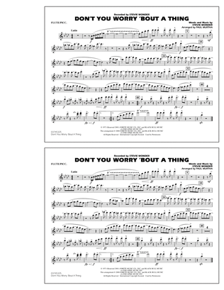Book cover for Don't You Worry 'Bout A Thing - Flute/Piccolo