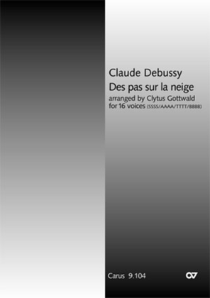 Book cover for Des pas sur la neige