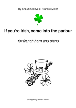 Book cover for If You're Irish Come Into The Parlour