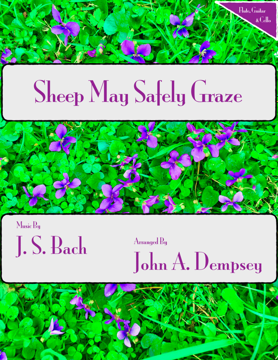 Sheep May Safely Graze (Bach): Trio for Flute, Cello and Guitar image number null