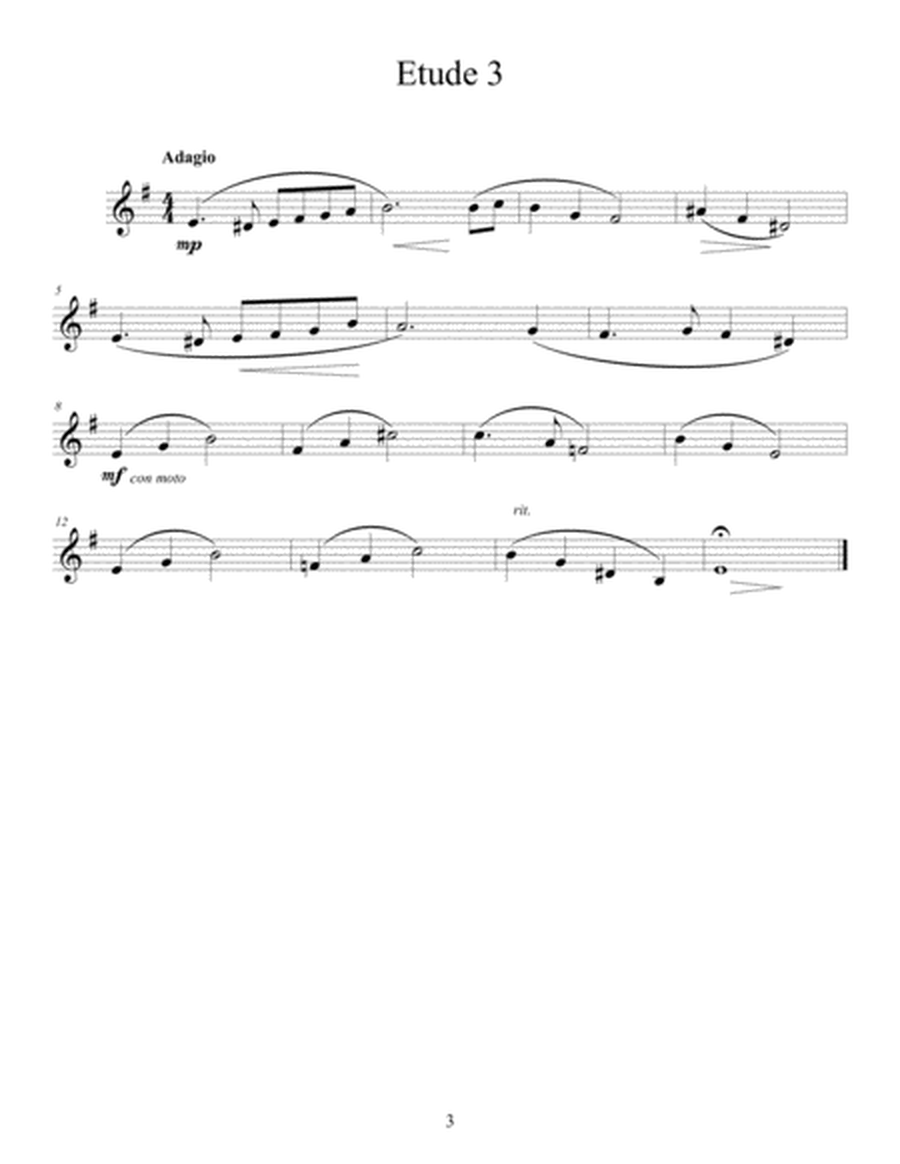 20 Lyrical Etudes for the Developing Trumpeter image number null