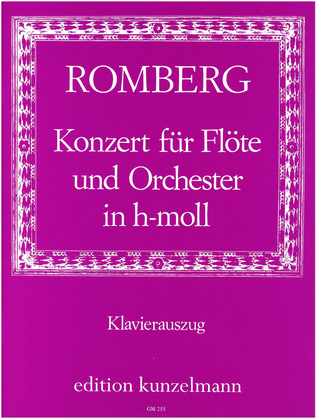 Book cover for Concerto for flute