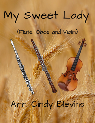 Book cover for My Sweet Lady