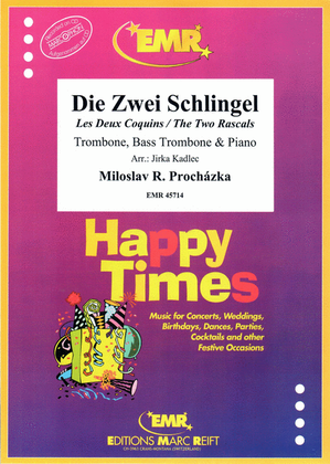 Book cover for Die Zwei Schlingel