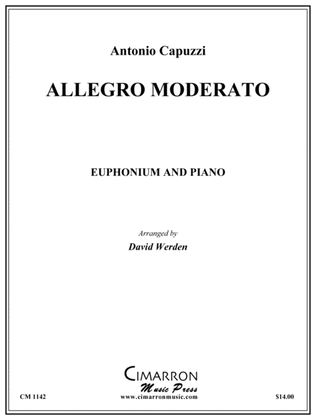 Book cover for Allegro Moderato