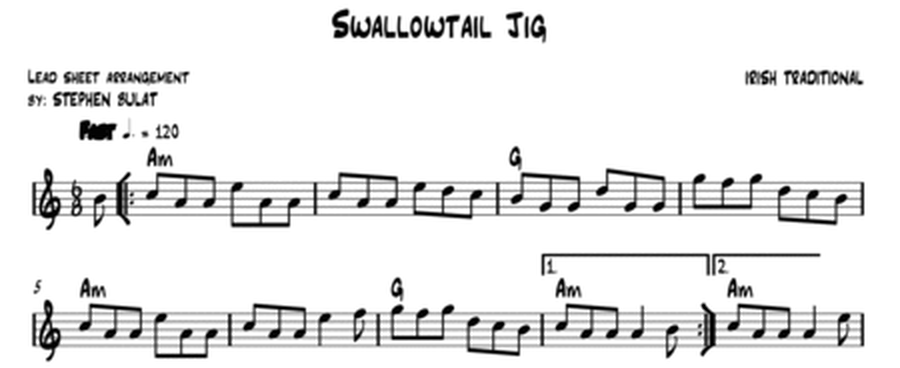 Swallowtail Jig (Irish Traditional) - Lead sheet (key of Am)