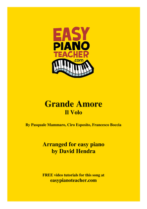 Book cover for Grande Amore