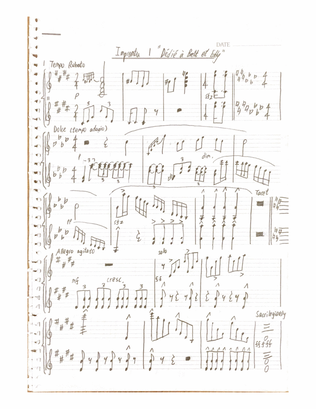 Impromptu no.1 (arranged for violin duet) op.1