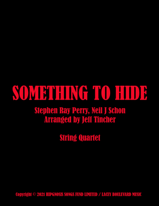 Book cover for Somethin To Hide