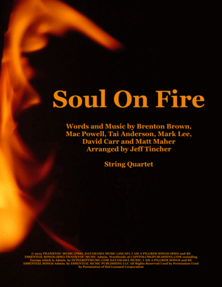 Book cover for Soul On Fire