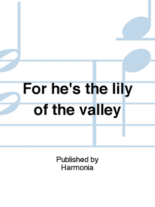 Book cover for For he's the lily of the valley