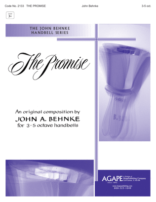 Book cover for The Promise