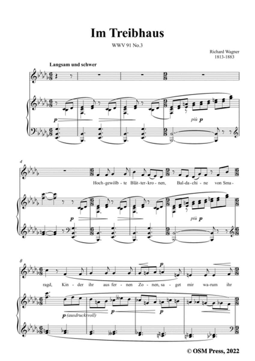 R. Wagner-Im Treibhaus,in b flat minor,WWV 91 No.3,from Wesendonck-Lieder image number null