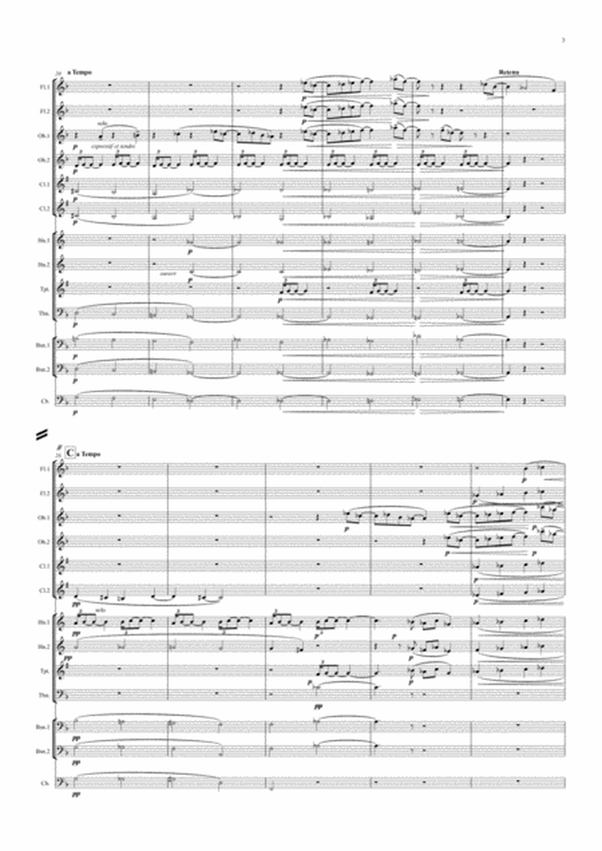 Debussy: Two Piano Preludes from Book 1 - Nos.VI Des pas sur la neige/XII Minstrels - symphonic wind