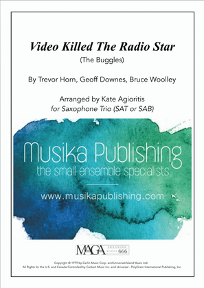 Book cover for Video Killed The Radio Star