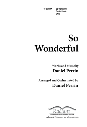 Book cover for So Wonderful