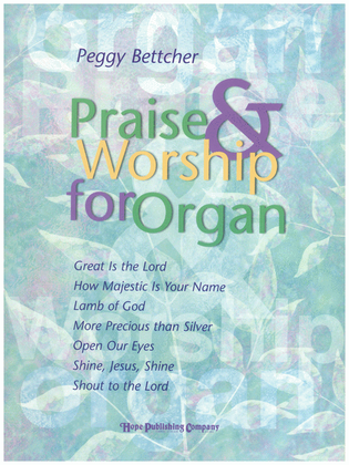 Book cover for Praise and Worship for Organ
