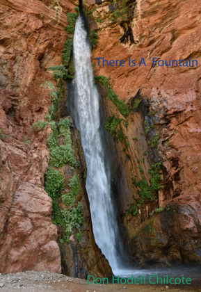 Book cover for There Is A Fountain