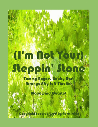 (I'm Not Your) Steppin' Stone