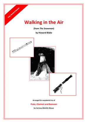 Book cover for Walking In The Air