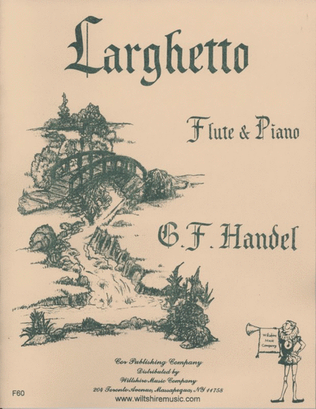 Book cover for Larghetto in B Minor