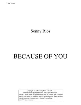Book cover for BECAUSE OF YOU