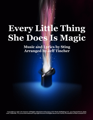 Book cover for Every Little Thing She Does Is Magic