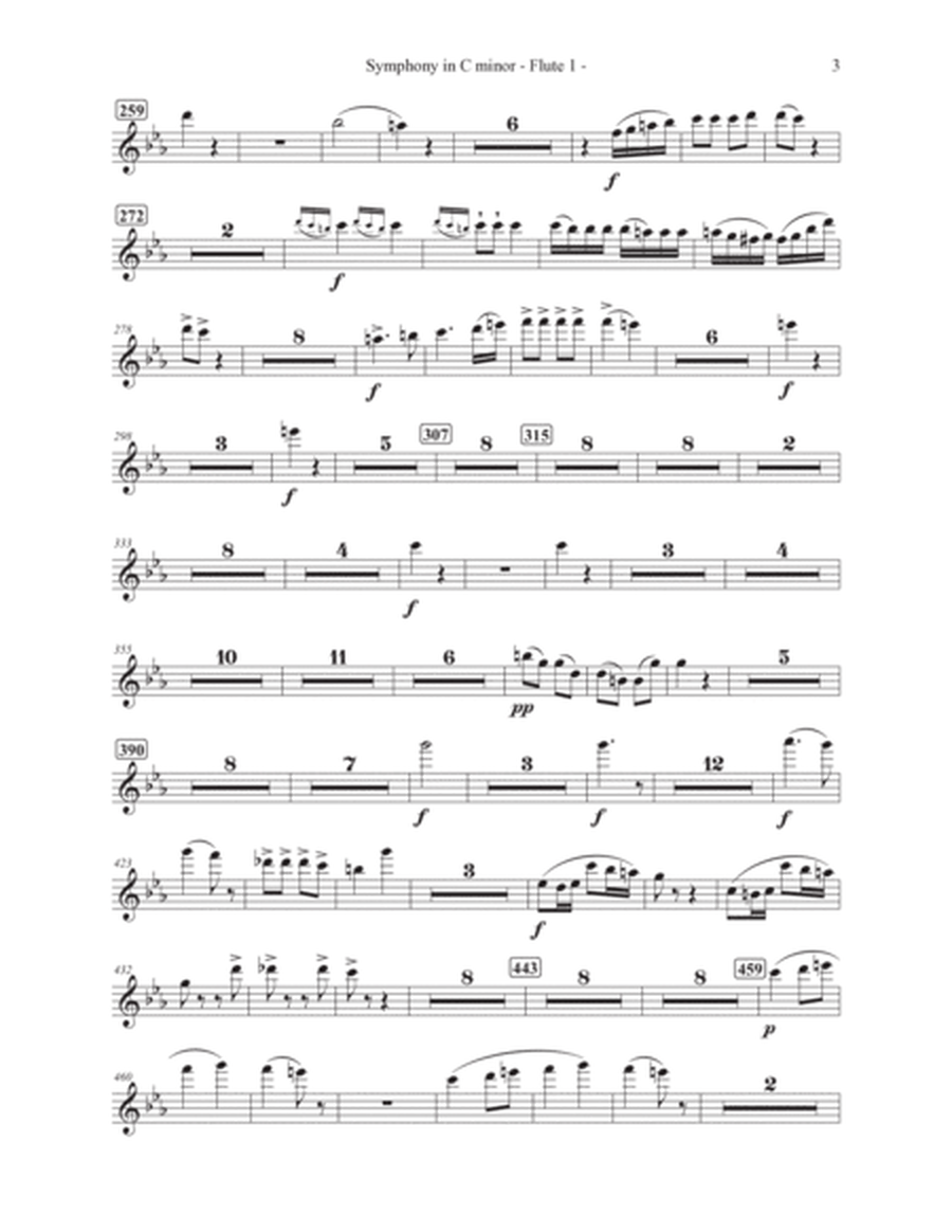 Symphony in c Minor - Complete set of parts for Orchestra