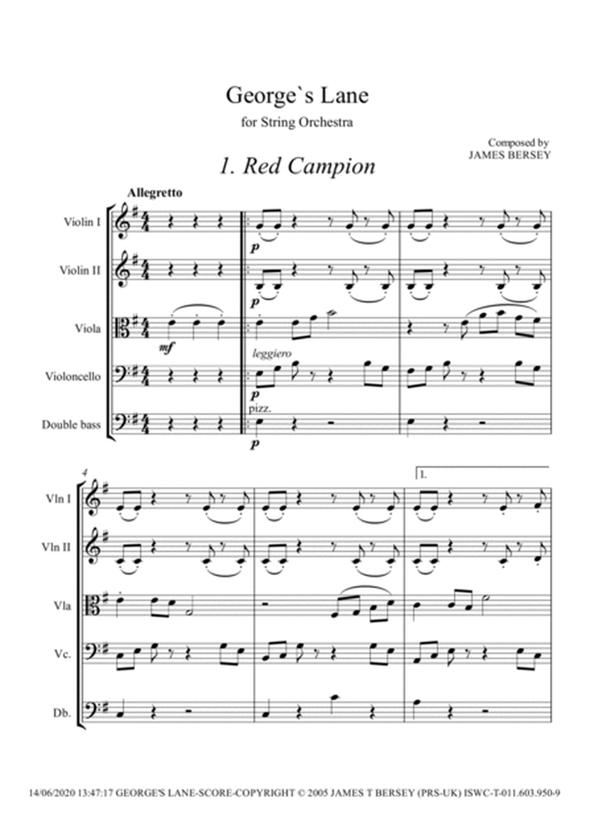 George's Lane (for strings) - score