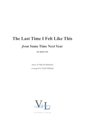 Book cover for The Last Time I Felt Like This