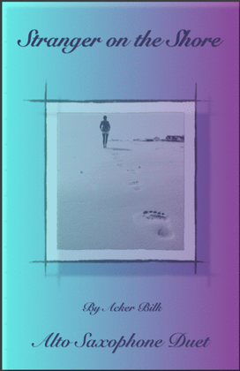 Book cover for Stranger On The Shore