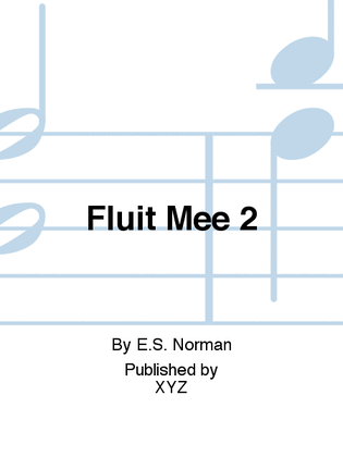 Book cover for Fluit Mee 2