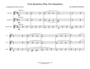 Book cover for Tum Balalaika (Play The Balalaika)